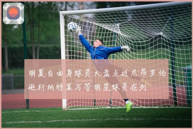明夏自由身球员大盘点迈尼昂罗伯逊科纳特莱万等明星球员在列