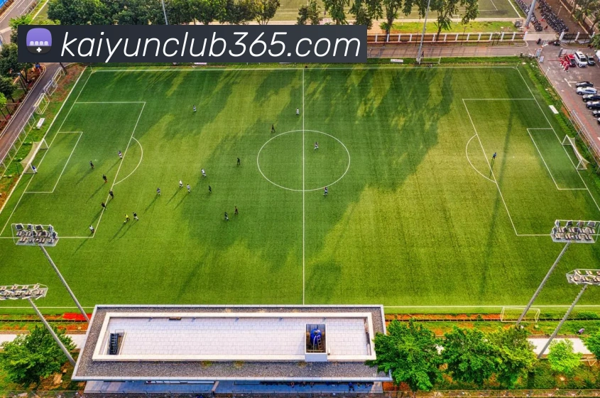 App Interface Preview