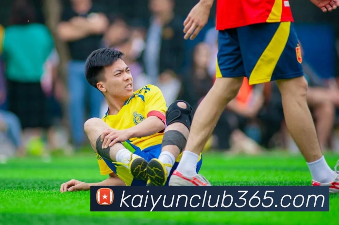 开云体育APP 封面图